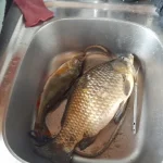 20251009_080259.webp