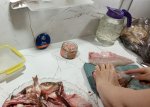 IMG_20251012_131446.jpg