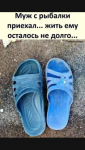 1760523083433.png