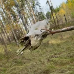 20251019_110421.webp