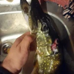 20251020_220946.jpg