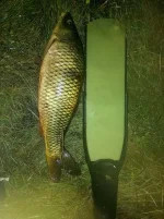 IMG_20251023_012853_edit_17557540940027.webp
