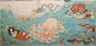 tako3.webp