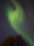 967bd57a-f16e-4a17-ad4b-c9dbe378cb58.jpeg