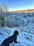 IMG_3011.jpeg