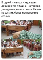 1763654737067.webp