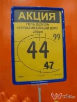 1764691769728.webp