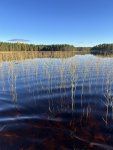 IMG_2901.jpeg
