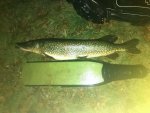 IMG_20251210_095906.jpg