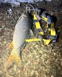 IMG_3146.jpeg