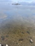 IMG_3140.jpeg