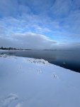 IMG_3137.jpeg