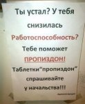IMG_3187.jpeg