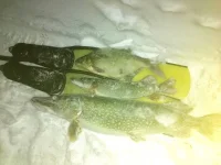 IMG_20260114_235141_edit_424836140461213.webp