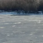 20260117_150135.webp