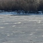 20260117_150135.jpg