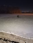 IMG_20260119_112319_502.jpg