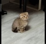 1000021513.jpg