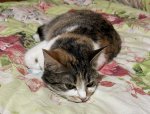 IMG_3217.jpeg