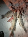 IMG_20260128_233953.jpg