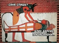 1770474517907.webp