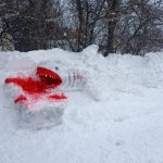 -49f2PDda8UhfqROh5ZUPIgorRa2A1dqlsVVIOFKBiCQASTYRRMIaeUxdJQ_oJPKnmuxgt7RPlR3Bpwq7fE9Mh0u.jpg