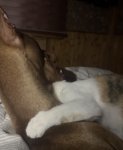 IMG_3326.jpeg