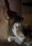 IMG_3325.jpeg