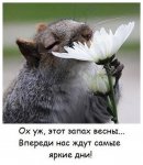 image (3).jpg