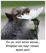 image (3).webp