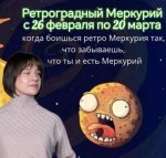 IMG_3340.jpeg