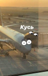 1774374503560.png