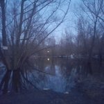 20260326_191458.jpg