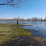 20260329_115533.webp