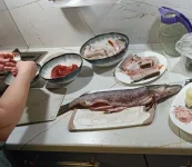 IMG_20260407_180341 — копия.webp IMG_20260407_180341 — копия.webp