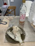 IMG_8717.jpeg