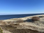 IMG_8709.jpeg