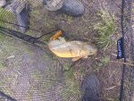 IMG_20260426_194307_949.jpg