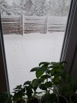 20260428_054547.jpg