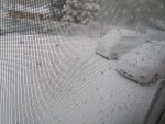 20260428_054741.jpg