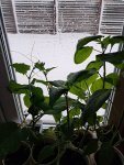 20260428_054641.jpg