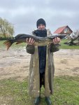 IMG_3570.jpeg