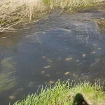 20260509_154820.webp