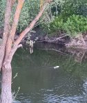IMG_20260516_194436.jpg