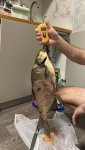 IMG_8873.jpeg