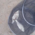 20260526_043323.webp 20260526_043323.webp