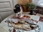 IMG_20260604_091111_138.jpg
