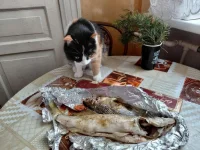 IMG_20260604_091111_138.webp