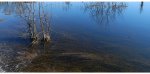 IMG_20260422_153148.jpg