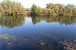 Дуб под водой — копия.jpg